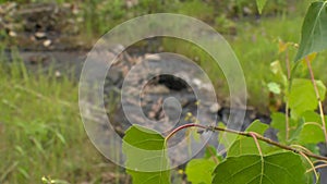 Toxic waste effects nature. Contaminated soil and water with chemicals and oil