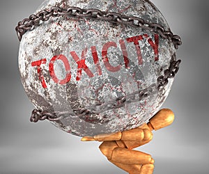 Toxicity and hardship in life - pictured by word Toxicity as a heavy weight on shoulders to symbolize Toxicity as a burden, 3d photo