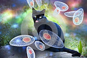 Toxoplasma gondii awareness conceptual image photo