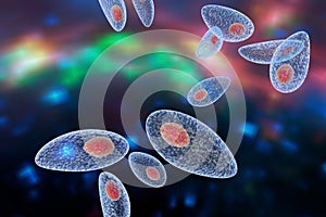 Toxoplasma gondii on colorful background photo