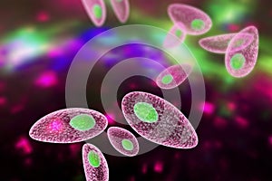 Toxoplasma gondii on colorful background photo