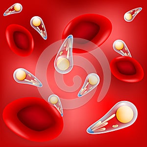 Toxoplasma gondii is a Pathogenic intracellular parasitic, and r