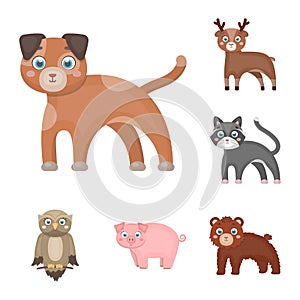 Toy animals cartoon icons in set collection for design. Bird, predator and herbivore vector symbol stock web