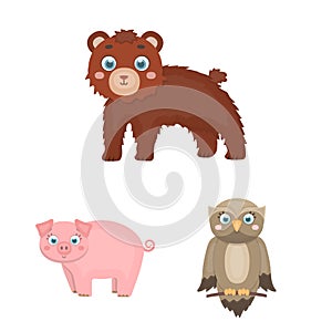 Toy animals cartoon icons in set collection for design. Bird, predator and herbivore vector symbol stock web