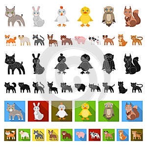 Toy animals cartoon icons in set collection for design. Bird, predator and herbivore vector symbol stock web