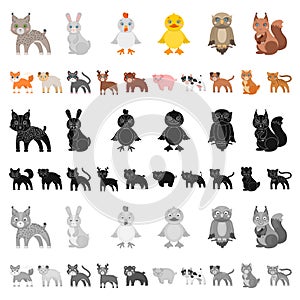 Toy animals cartoon icons in set collection for design. Bird, predator and herbivore vector symbol stock web