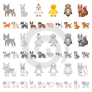 Toy animals cartoon icons in set collection for design. Bird, predator and herbivore vector symbol stock web