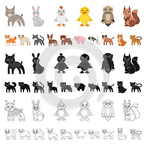 Toy animals cartoon icons in set collection for design. Bird, predator and herbivore vector symbol stock web