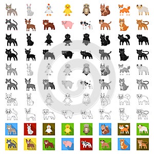 Toy animals cartoon icons in set collection for design. Bird, predator and herbivore vector symbol stock web