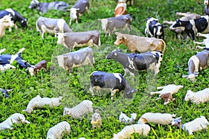 Toy animals to pasture