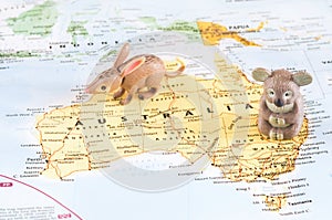 Toy Australian animals on map