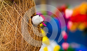 Toy baya weaver bird inside its nest. babui pakhi r basha.