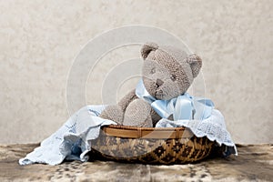 Toy Bear In A Basket