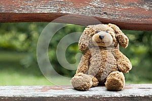 Toy bear - childhood concept