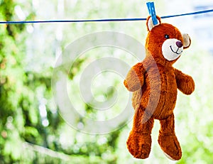 Toy bear hanging on rope by clothes pin with blurred green nature background