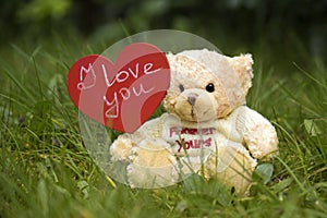 Toy bear holding a heart on the grass