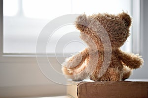 A toy bear looks out the window on a winter day. The concept of friendship, loneliness and expectation