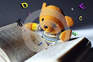 Toy bear reading