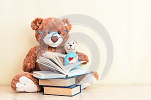 Toy bear reading an interesting book, showing that even read toys. the concept of baby learning