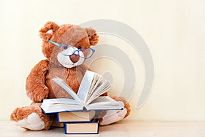 Toy bear reading an interesting book, showing that even read toys. the concept of baby learning