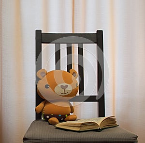 Toy bear reads the book