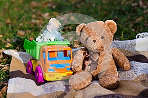 Toy bear and toy car