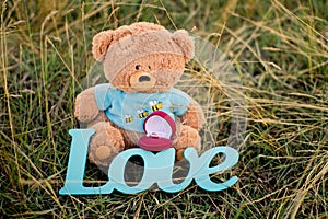Toy bear, wedding ring and sign love on the grass