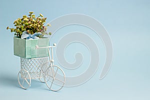A toy bike carries a flowers. The idea for a postcard. Blue background. Minimalism