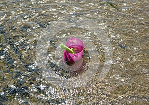 Toy bucket and spade in shallow water