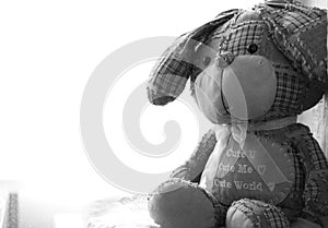 Toy bunny in black and white photography