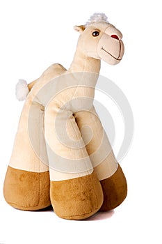 Toy camel