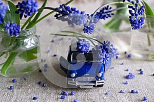 Toy car among muscari