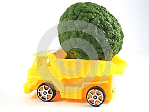 Toy car truck herb bergamot