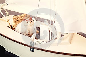 Toy cat sitting in a chair on the layout of a sailing yacht. Vacation dream concept