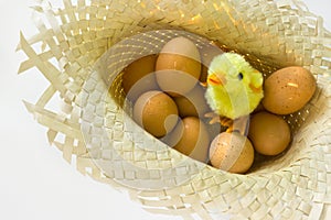 Toy chick with eggs