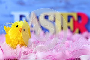 Toy chick, feathers and word easter