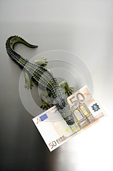 Toy cocodrile, aligator, with fifty euro banknote