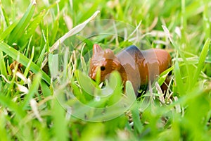 toy cow on grass. out door