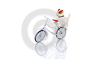 Toy dog on bike