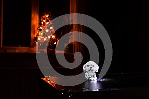 Toy dog - a symbol of the new year under the snow against the background of fir branches. Toy's dog as a symbol of 2018 New Year