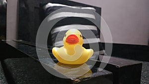 Toy Duck