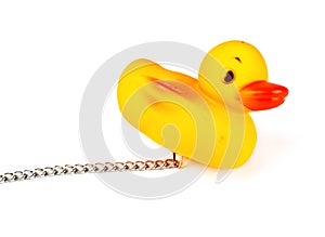 Toy duck for bath