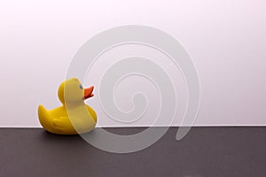 Toy duck. Children`s toy rubber duck