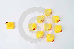 Toy duck heading with different directions. Business innovation, unique idea concept