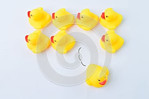 Toy duck heading with different directions. Business innovation and unique idea concept