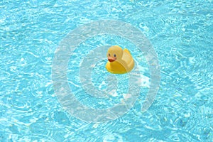 Toy duck in the pool