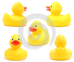 Toy Ducks