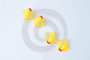 Toy ducks heading with different directions. Business innovation, think different and unique concept