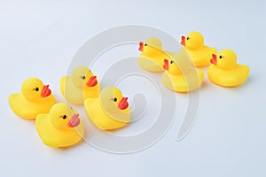 Toy ducks heading with different directions. Business innovation, unique and think different concept