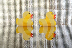 The toy ducks march in unison, heading towards a common direction. Symbolizing the concept of business goals, they embody focus,